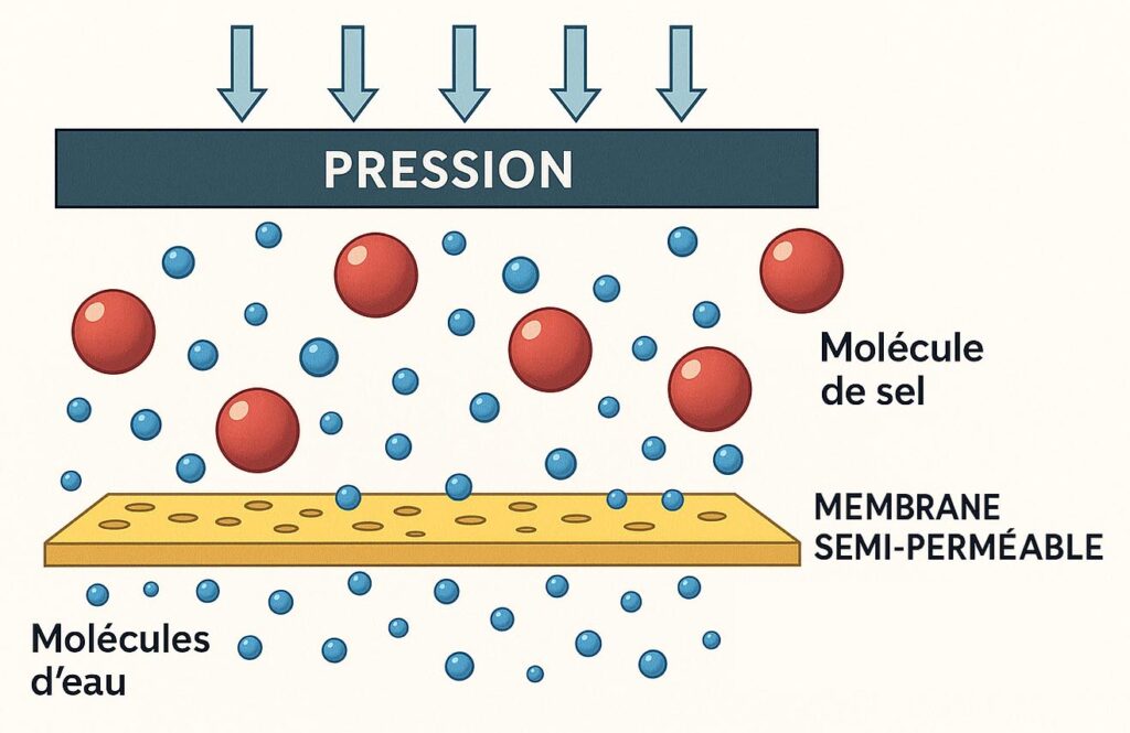 Schéma du principe de l'osmose inverse — pression, membrane et séparation des solutés