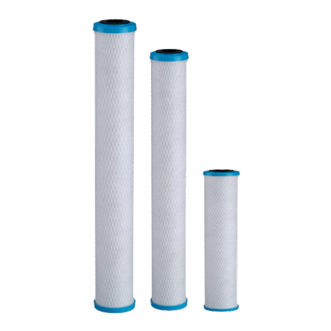 Pentair ChlorPlus Protect 10