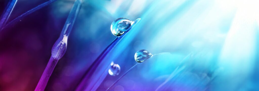 Belle grosse goutte de rosée matinale dans la nature printanière, mise au point sélective. Gouttes d'eau transparentes sur l'herbe en macro. Image artistique lumineuse dans les tons bleus et violets.