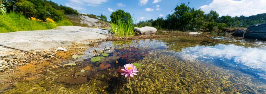 qualité de l'eau naturelle en France